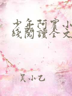 少年阿宾小说在线阅读全文免费