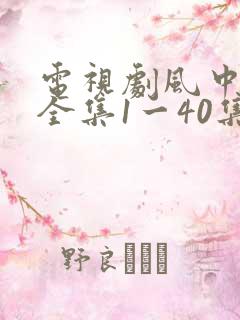 电视剧风中奇缘全集1一40集播放