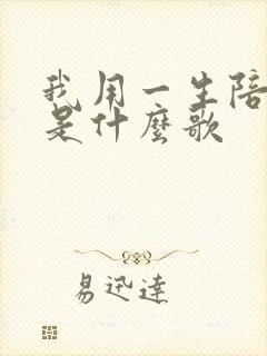 我用一生陪着你是什么歌