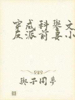 穿成科举文里的反派前妻小说