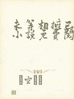 未等相拥已成客小说免费阅读