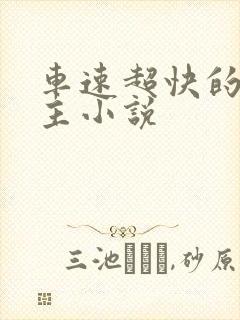 车速超快的双男主小说