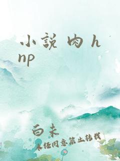 小说 肉 h np