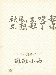 秋风又吹起惹我又想起了你是什么歌