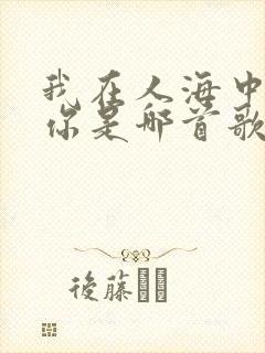 我在人海中遇见你是哪首歌的歌词