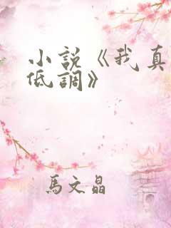 小说《我真的很低调》