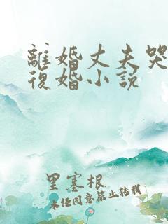 离婚丈夫哭着求复婚小说