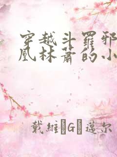 穿越斗罗邪火凤凰林萧的小说