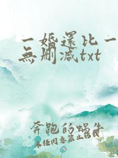 一婚还比一婚高无删减txt