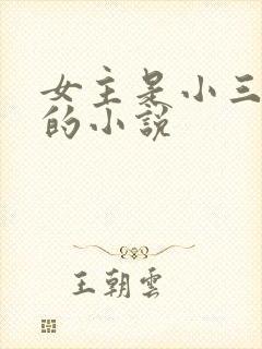 女主是小三上位的小说