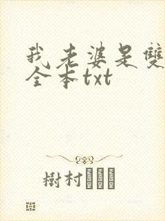 我老婆是双胞胎全本txt