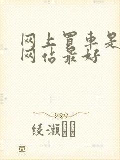 网上买车是哪个网站最好