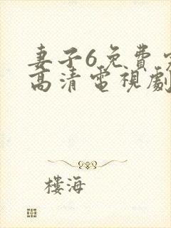 妻子6免费完整高清电视剧