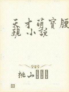 天才萌宝腹黑娘亲 小说