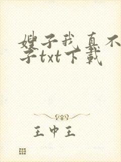 嫂子我真不是傻子txt下载