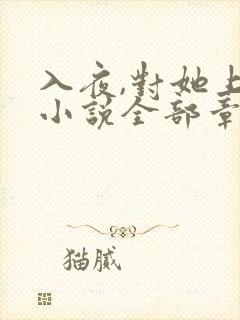 入夜,对她上瘾小说全部章节