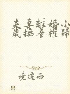 夫妻离婚小孩一岁抚养权归谁