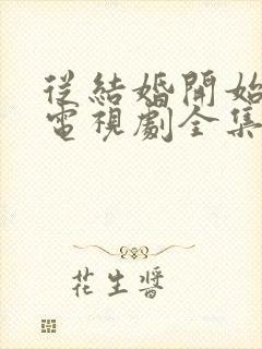 从结婚开始恋爱电视剧全集免费看