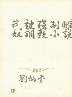 我被强制雌堕肉奴调教小说
