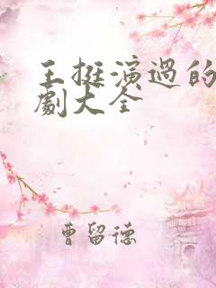 王挺演过的电视剧大全