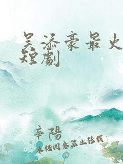 吴添豪最火十部短剧