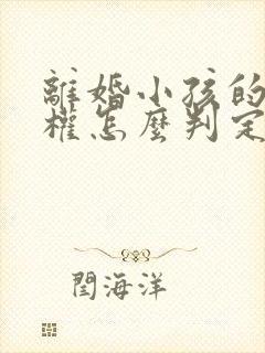 离婚小孩的抚养权怎么判定