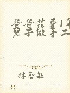 爸爸花费1年为儿子做手工婚床