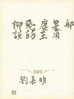 柳飞尘是哪部小说的主角