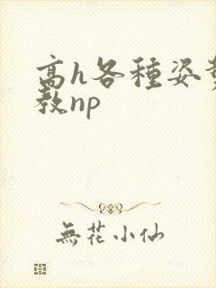 高h各种姿势调教np