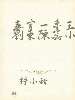 春宵一梦王小俊刘东陈蕊小说