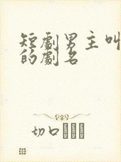 短剧男主叫叶晨的剧名