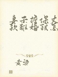 妻子担保丈夫贷款离婚该怎么处理方法