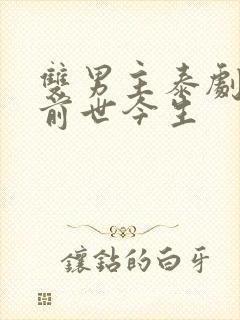 双男主泰剧穿越前世今生