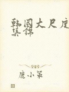 韩国大尺度床戏集锦