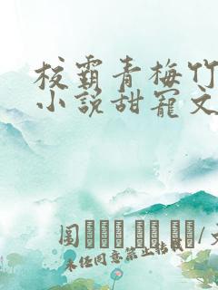 校霸青梅竹马的小说甜宠文