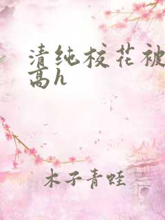 清纯校花被调教高h