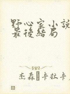 野心家小说原著最后结局