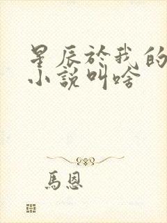 星辰于我的原著小说叫啥