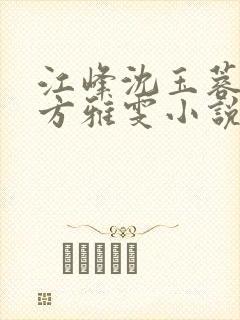 江峰沈玉蓉堂嫂方雅雯小说结局