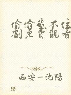 偷偷藏不住电视剧免费观看24