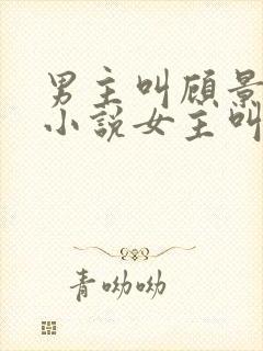 男主叫顾景琛的小说女主叫晚晚