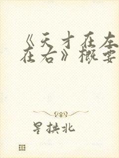 《天才在左疯子在右》概要