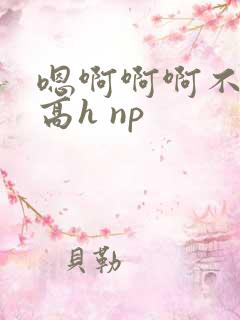 嗯啊啊啊不要啊高h np