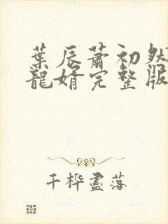 叶辰萧初然上门龙婿完整版