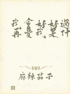 我会好好过等你再爱我是什么歌