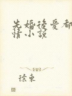 先婚后爱都市言情小说