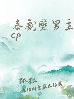 泰剧双男主腐剧cp