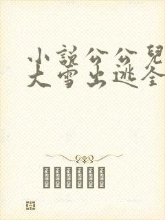 小说公公儿媳妇大雪出逃全文阅读