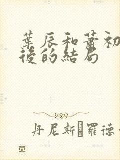 叶辰和萧初然最后的结局