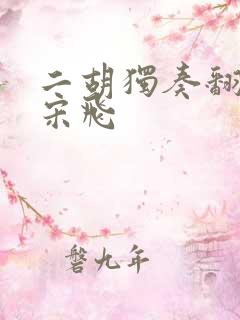 二胡独奏翻身歌宋飞